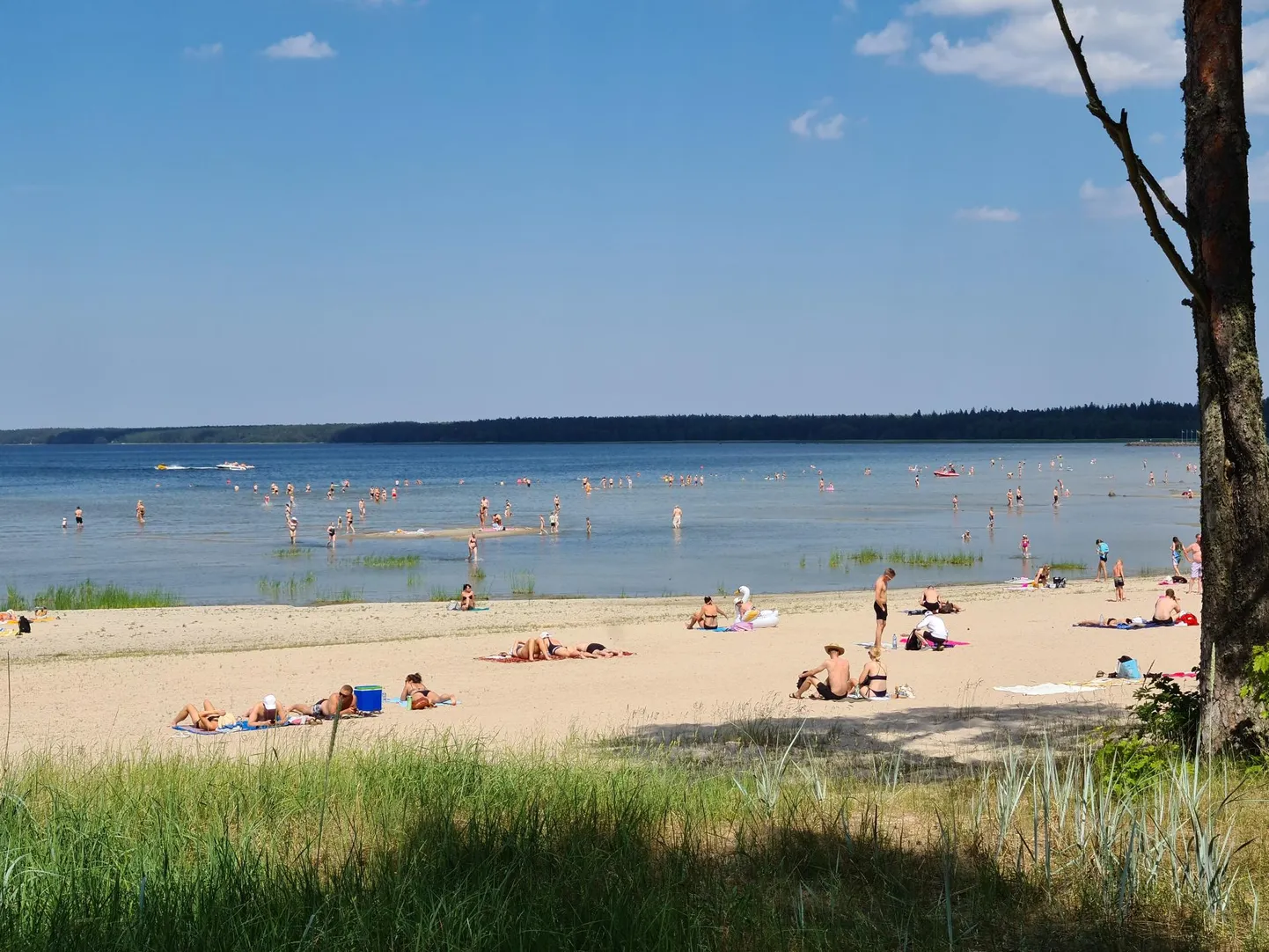 Lähipäevil on taas oodata kuumalainet, temperatuur tõuseb kohati 30 kraadini.