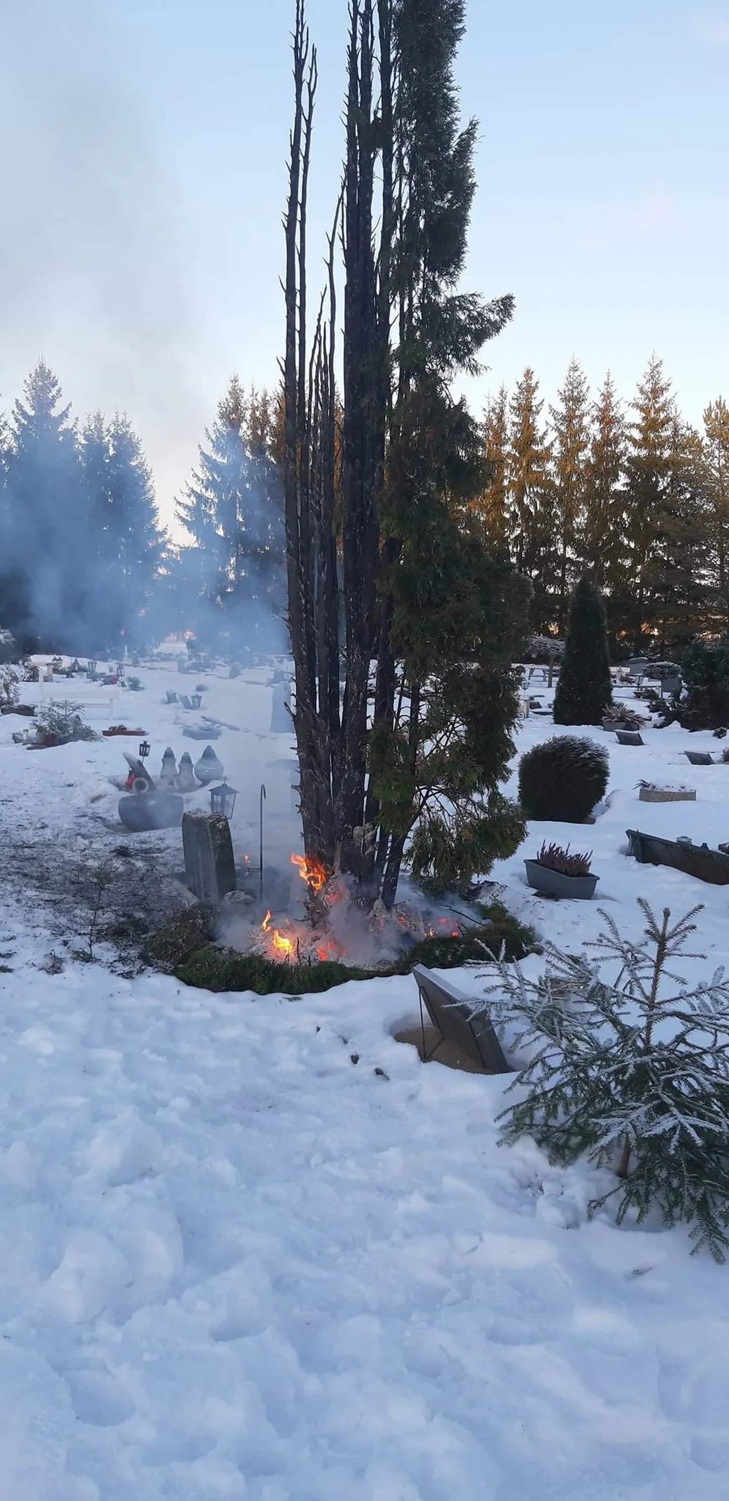 Päästjatel tuli kustutamas käia kalmistul süttinud elupuud.