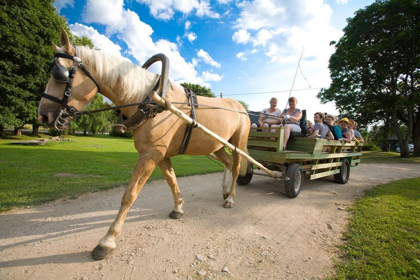 Rändteater valmis rändama:  üks kolmest Madise talu hobusest teeb teatrirahvale proovisõitu. Juba esmaspäeval algab nädalane rännak Kärust Viljandisse.