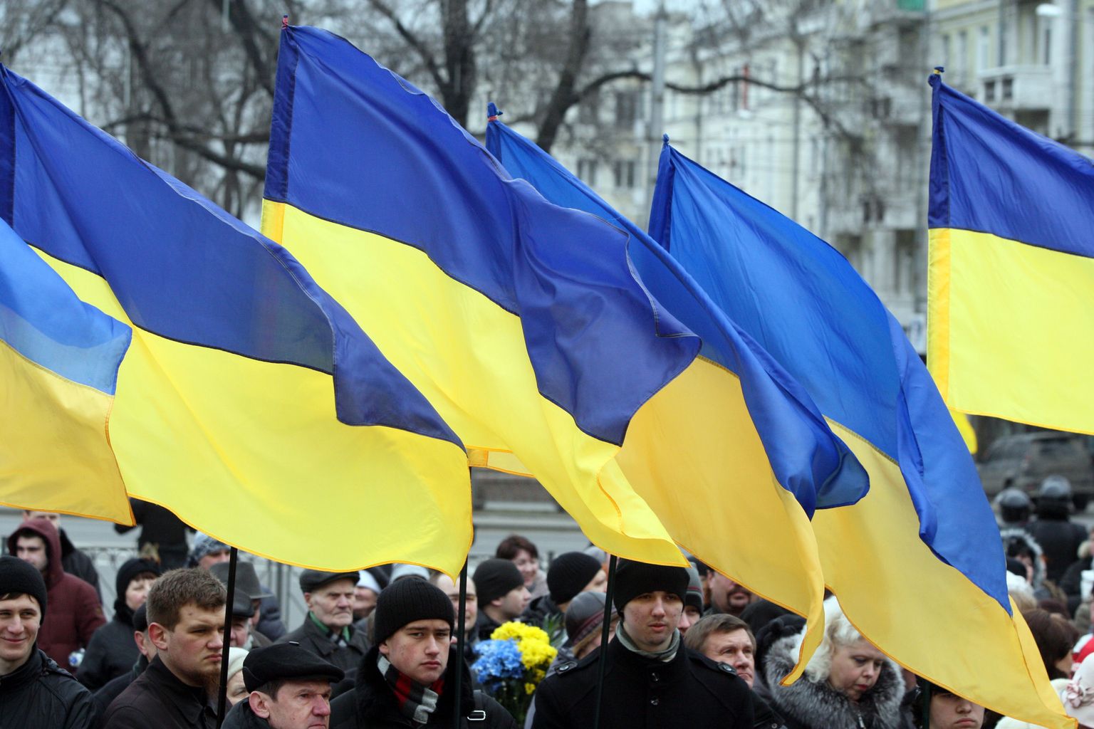 Ukraina lipud.