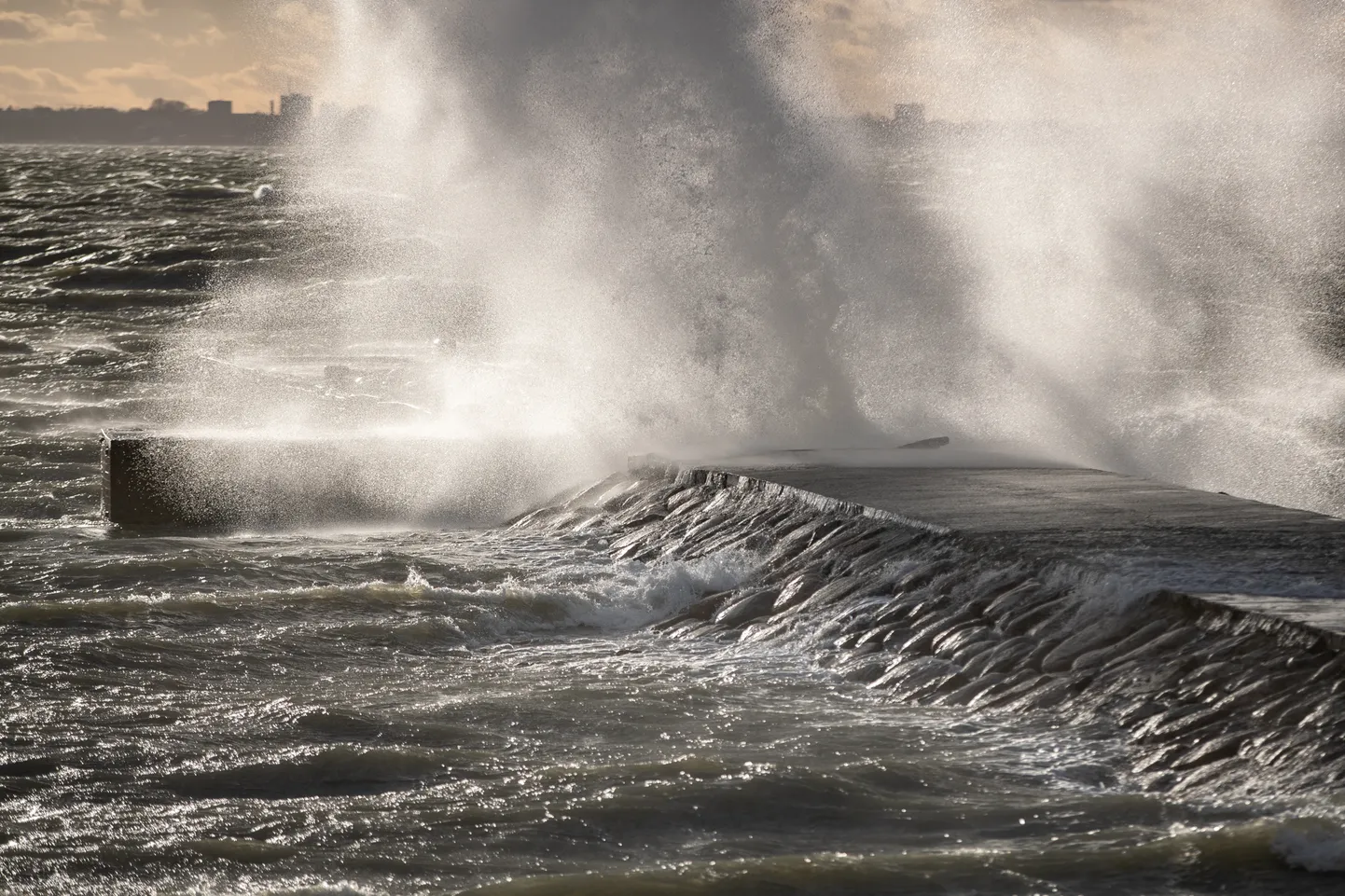Torm.