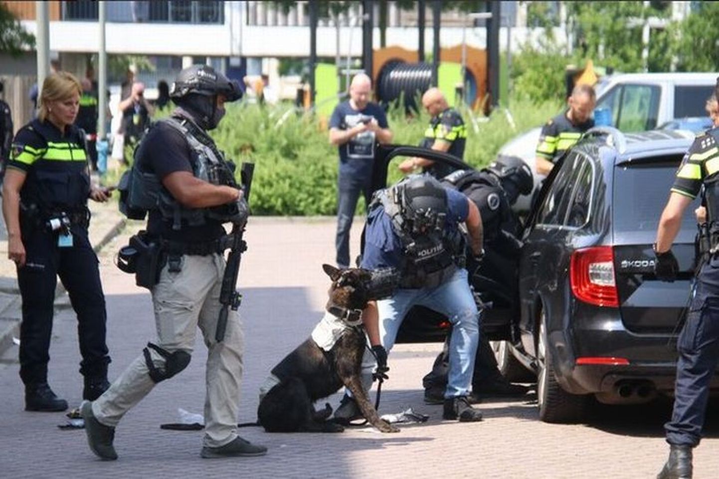 Hollandis suri politseikoer kirvemehe rünnaku järel saadud vigastustesse