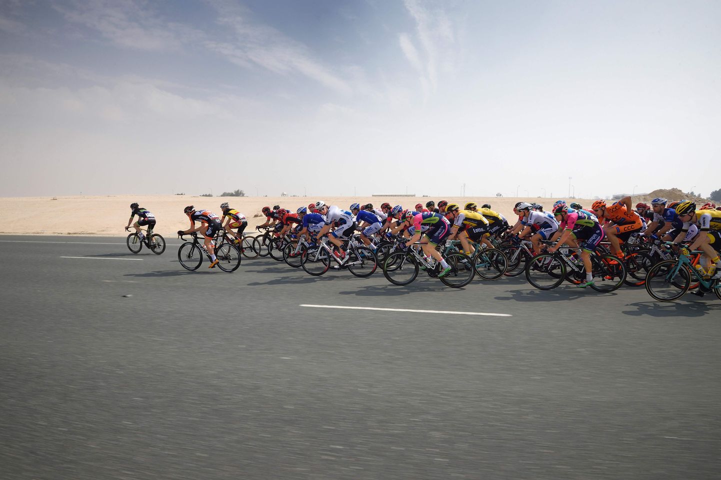 Ratturid peavad Dohas võitlema kuumade temperatuuridega.