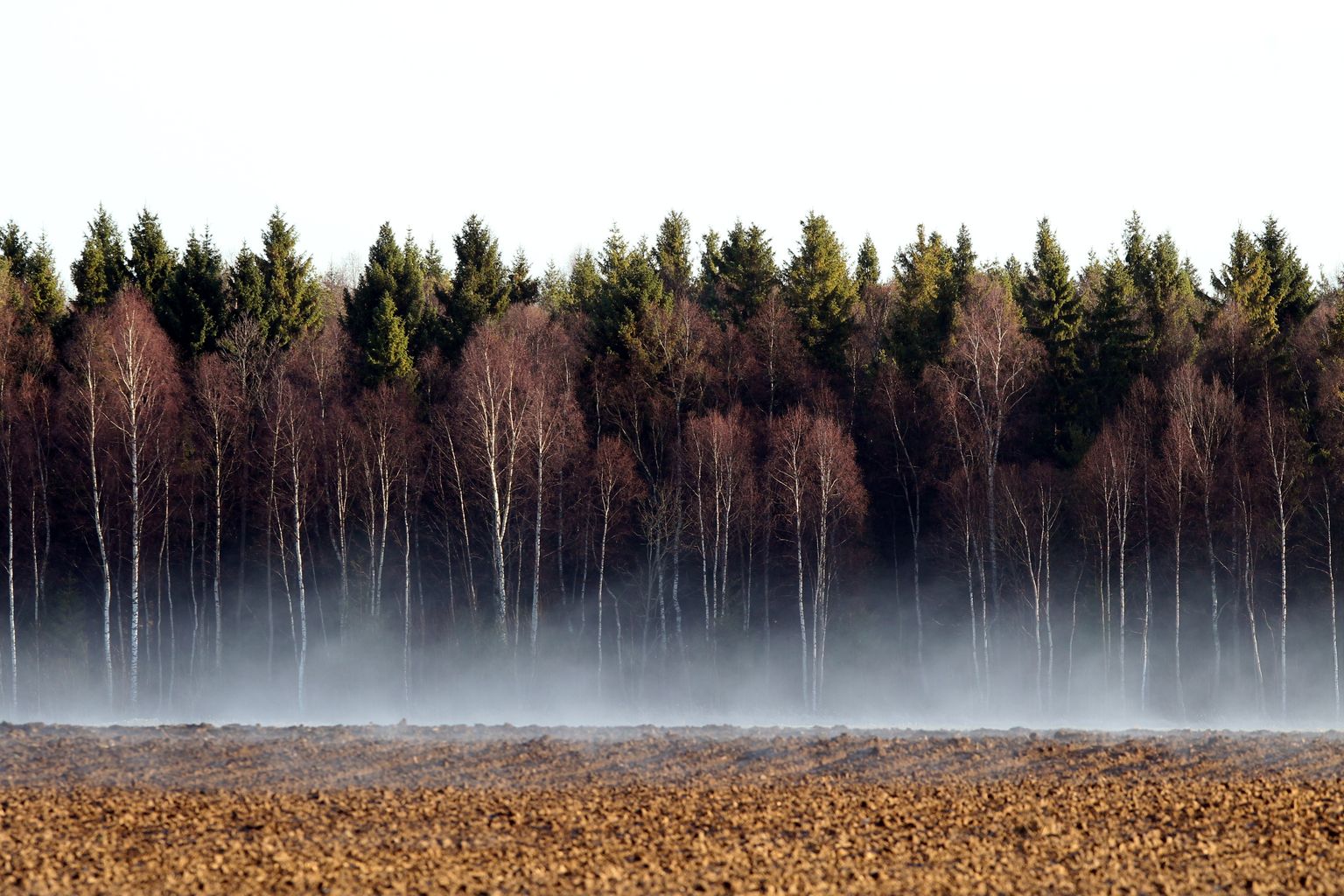 Эстония. Фото иллюстративная.
