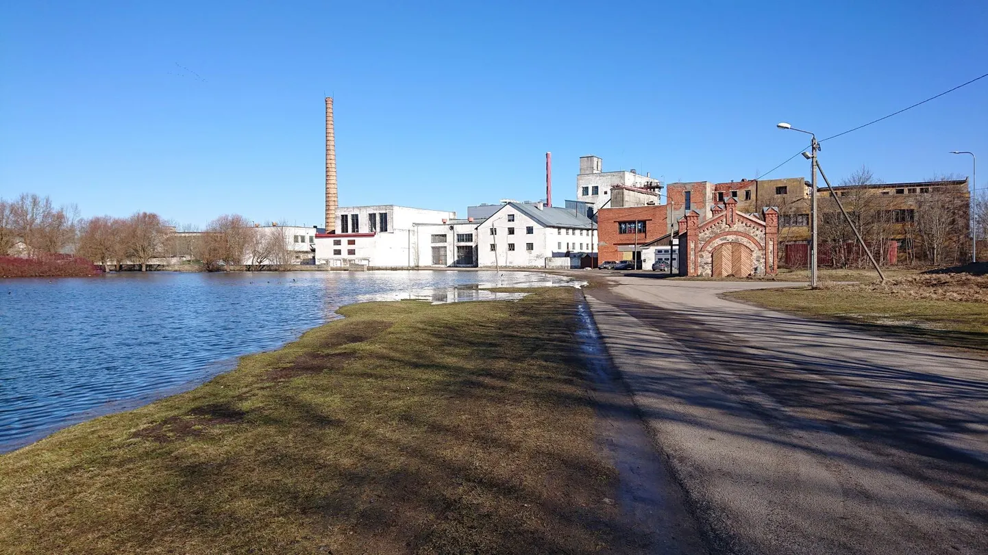 Eile jooksis tiigivesi Rakvere Rahvaaias juba üle Vabriku tänava, kuid täna hommikupoolikuks oli veetase pisut alanenud.
