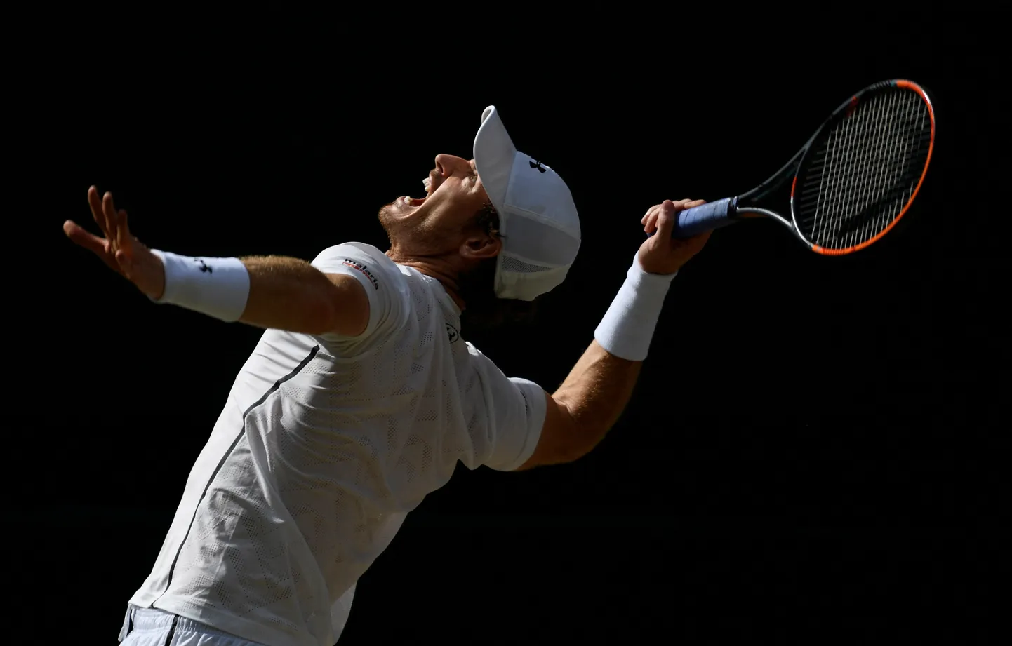 Andy Murray