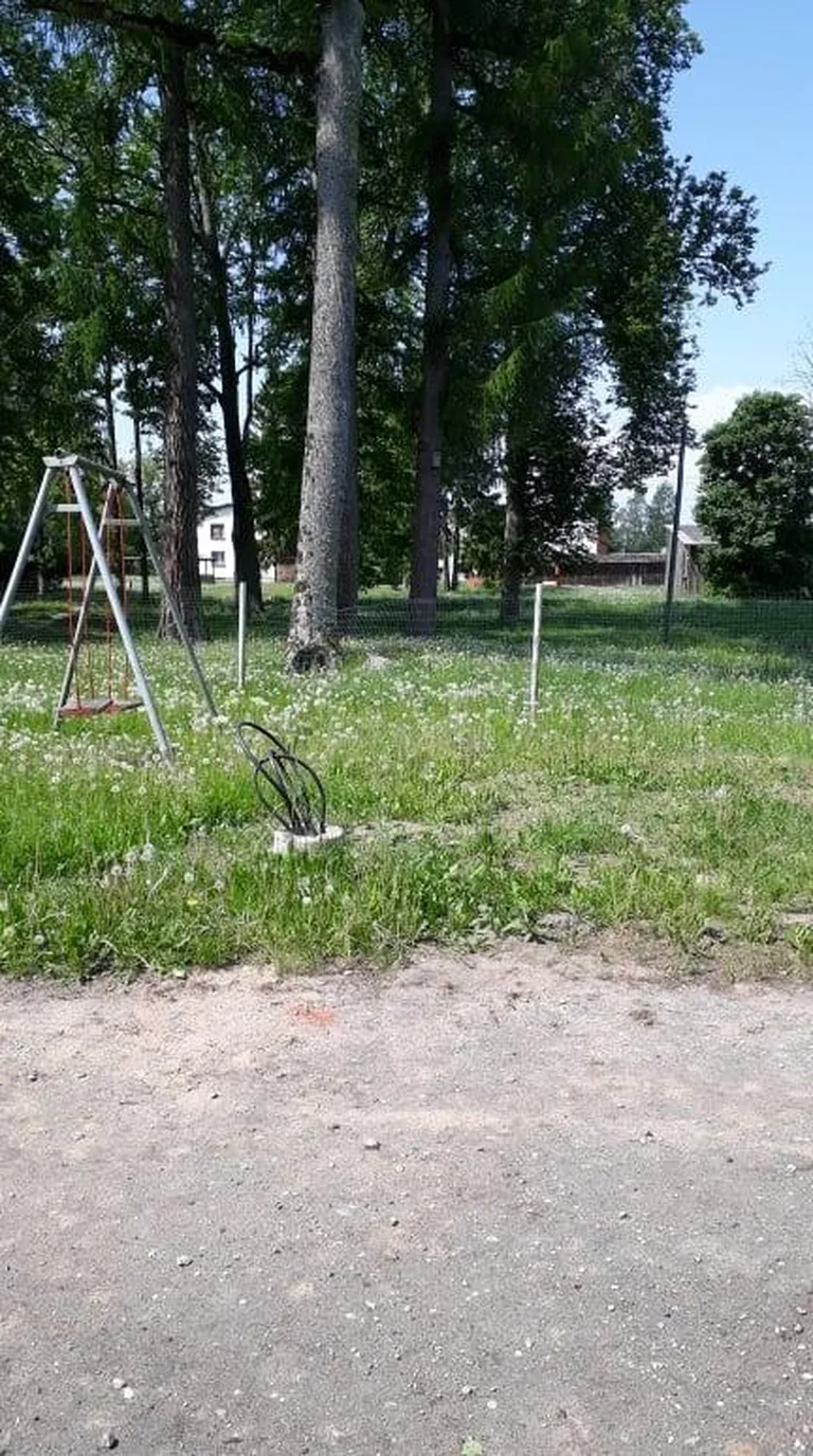 10. juunil tuli niitmismeeskond ja olukord sai mõneks ajaks lahenduse. Järgmine niitmine tuleb hanke kohaselt kuu aja pärast.