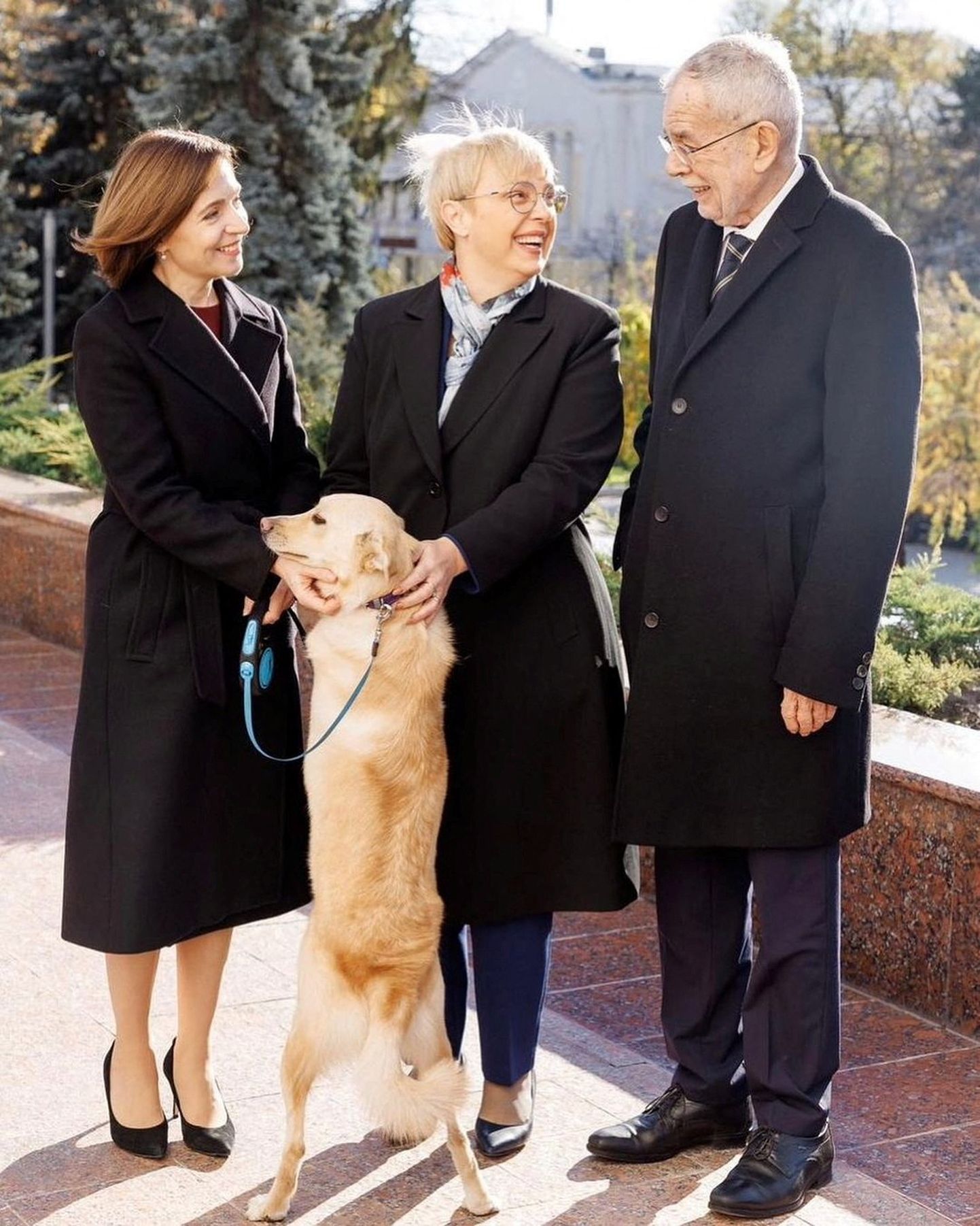Президенты Молдовы, Словении и Австрии и собака