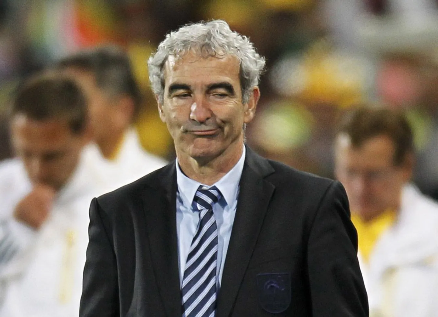Raymond Domenech