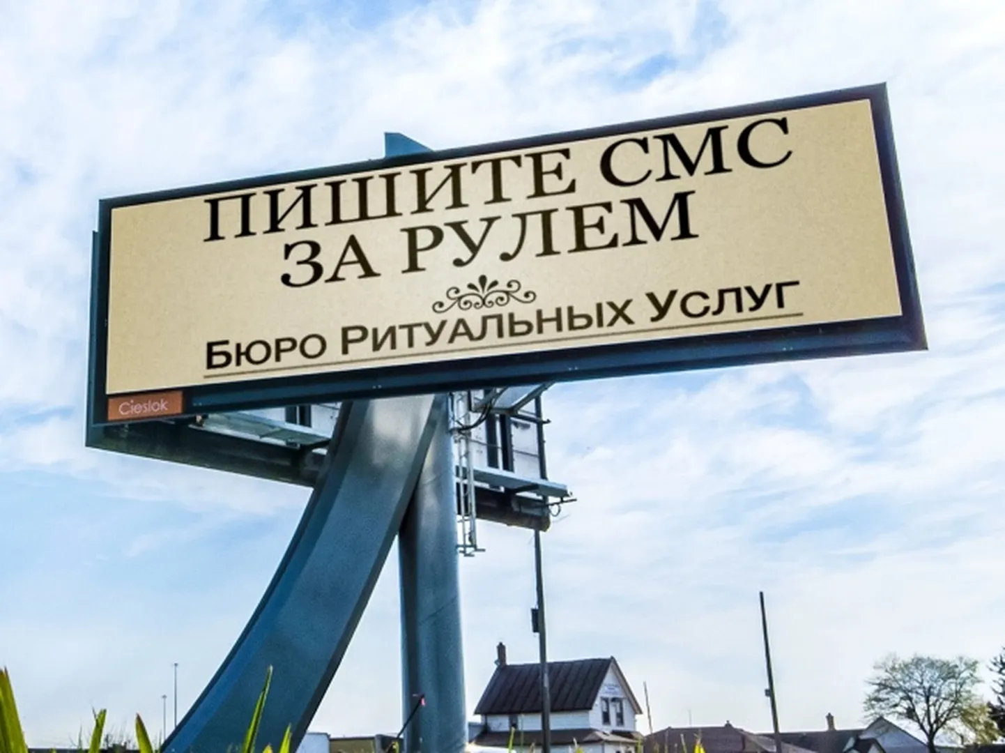 Фото статьи