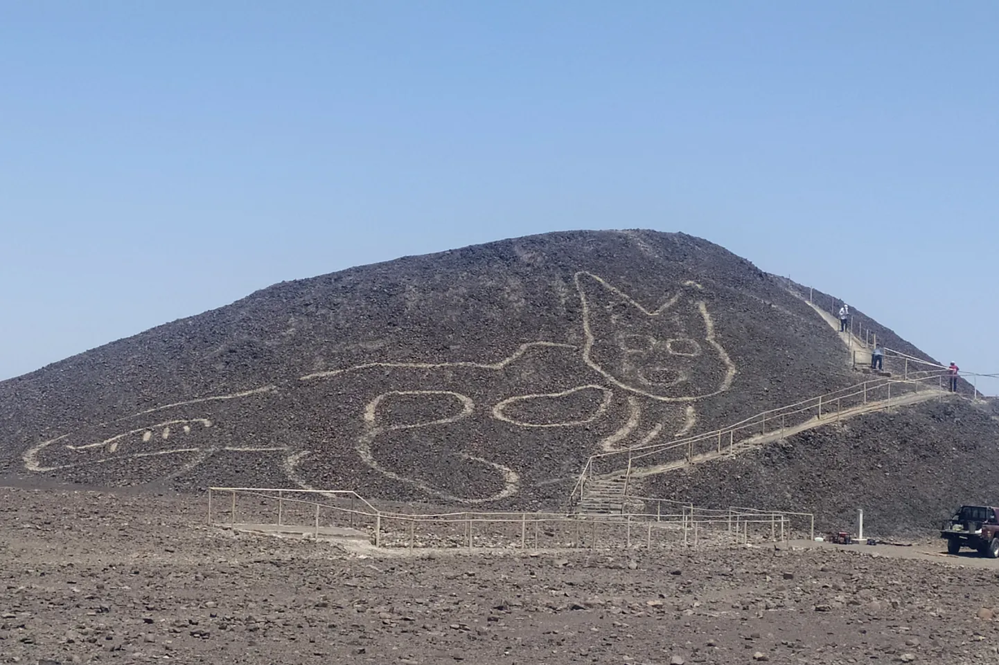 Nazca geolüüfidelt avastatud kassikujutis.