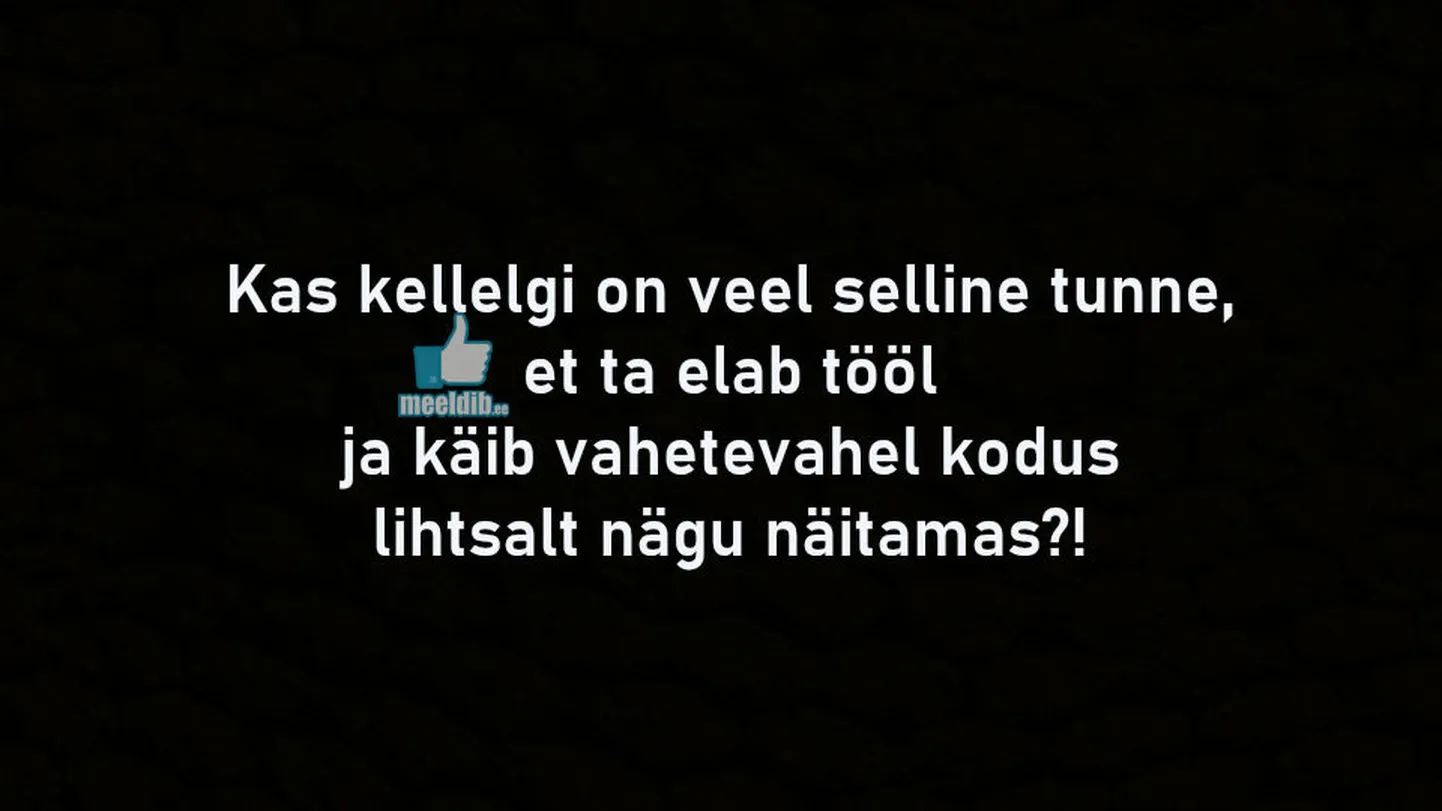 Artikli foto