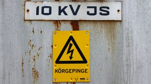 ROMAN BOGDANOVITŠ ⟩ Gaas või tuumaenergia, see pole õige küsimus