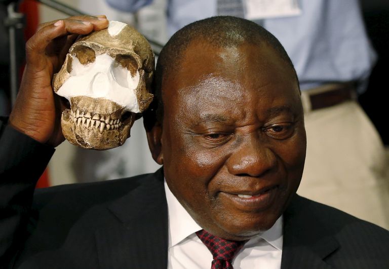 Lõuna-Aafrika asepresident Cyril Ramaphosa võrdleb H. naledi kolba koopia suurust enda omaga muistse inimliigi avastuse avaldamisel