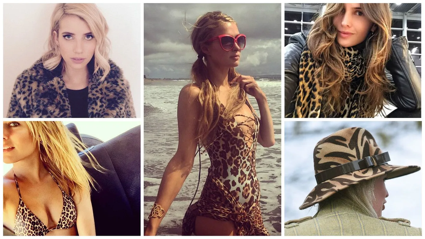 Emma Roberts, Izabel Goulart, Paris Hilton, Caroline Flack, tundmatu naine mütsiga.