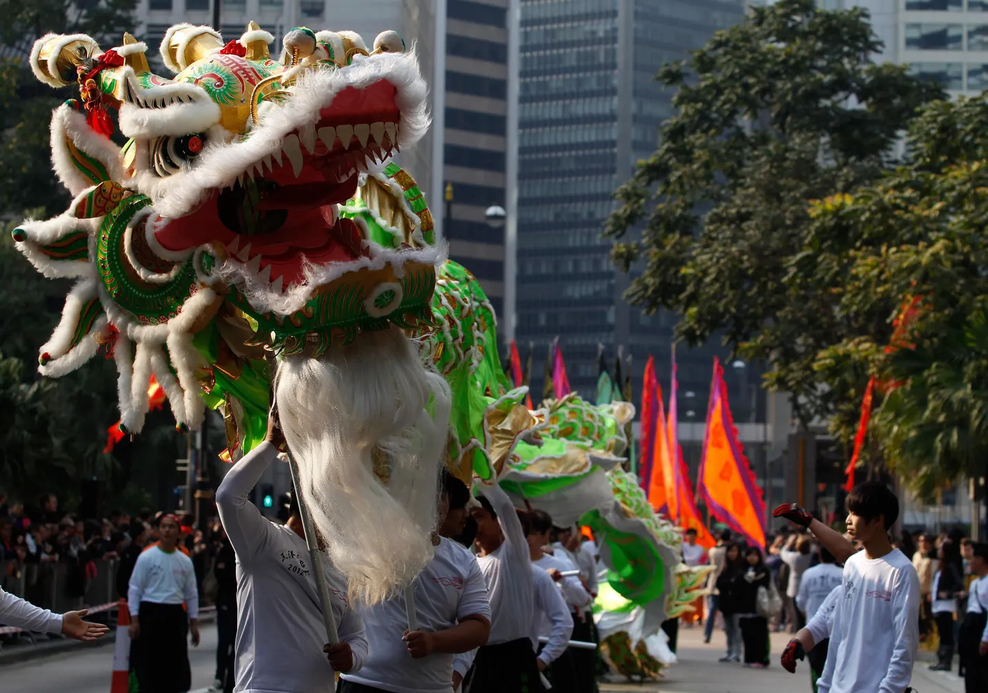Draakoniaasta vastuvõtt Hongkongis
