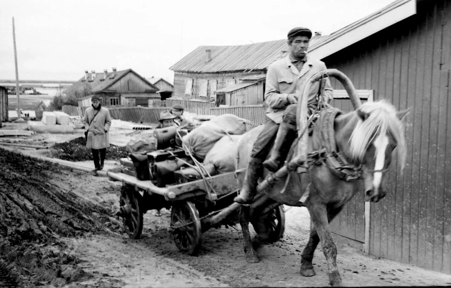 Lennart Meri (tagaplaanil) filmi «Veelinnurahvas» võtetel.