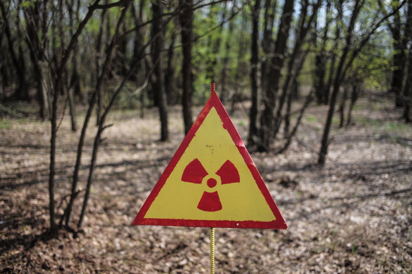 Предупреждающий о радиации знак в Чернобыле. Иллюстративное фото.
