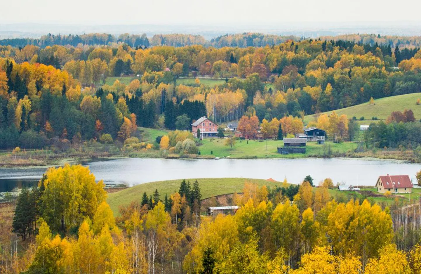 Karula rahvuspark sügisvärvides.