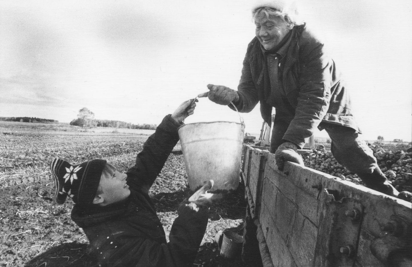 Tüüpiline kartulivõtt nõukogude ajal. Sellelt pildilt saab ka aimu, kui kõrge oli traktori kast, kuhu lapsed pidid tühjendamiseks kartuleid täis ämbreid upitama