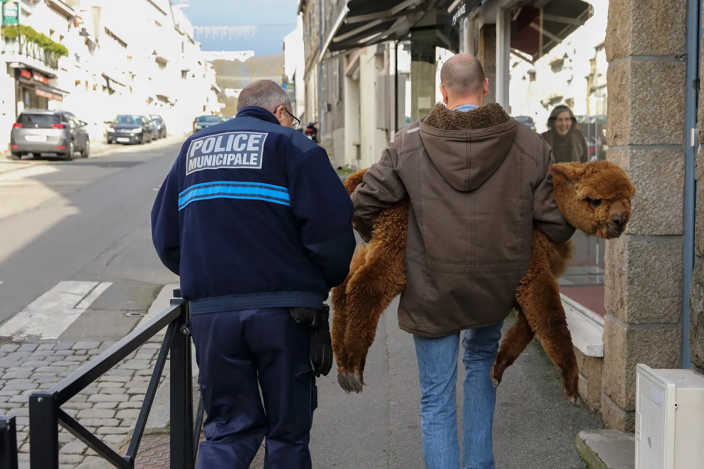 Artikli foto