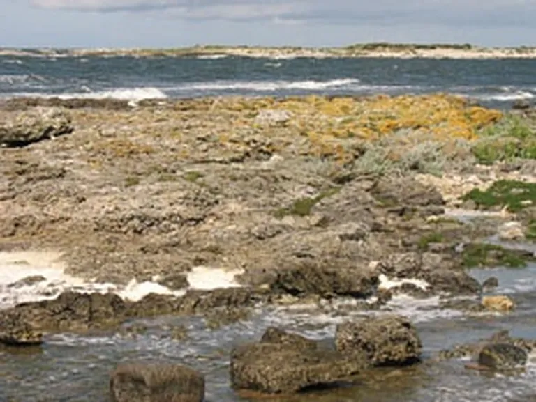 Ülemine Vaigas salas lēzenā piekraste ar Keskmine Vaigas salu fonā