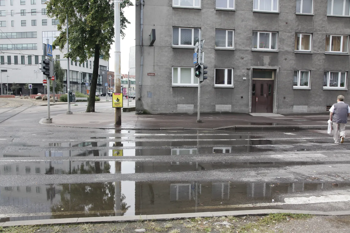 Пешеходный переход на улице Гонсиори.
