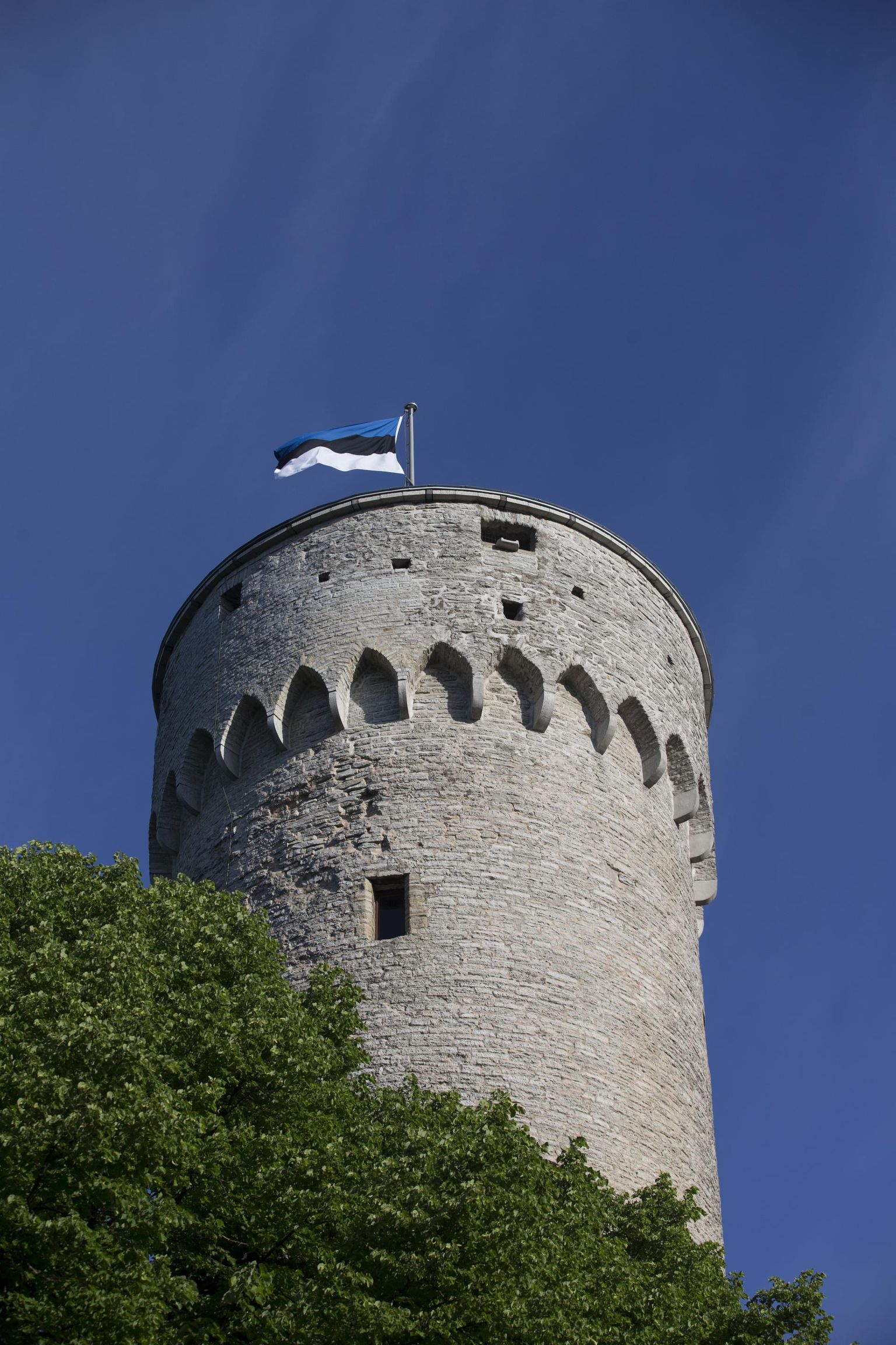 Eesti lipu päeval pannakse trikoloorid lehvima.