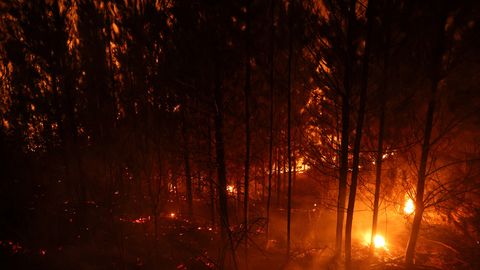 Tšiilis laastab tuli metsa ja hävitab inimeste kodusid