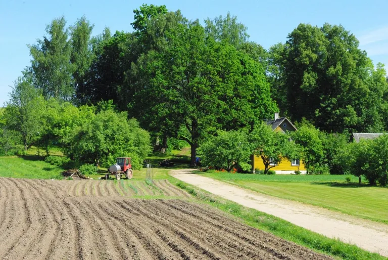 Talukoht Rõuges upub rohelusse ja õunaaeda, talutee ääres püsib veel kartulipõld.