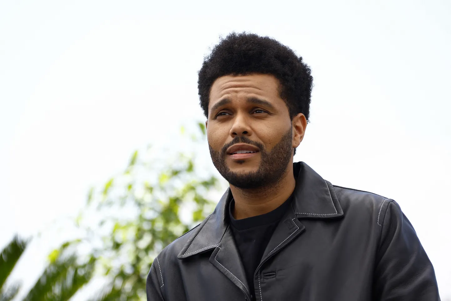 Певец he Weeknd.