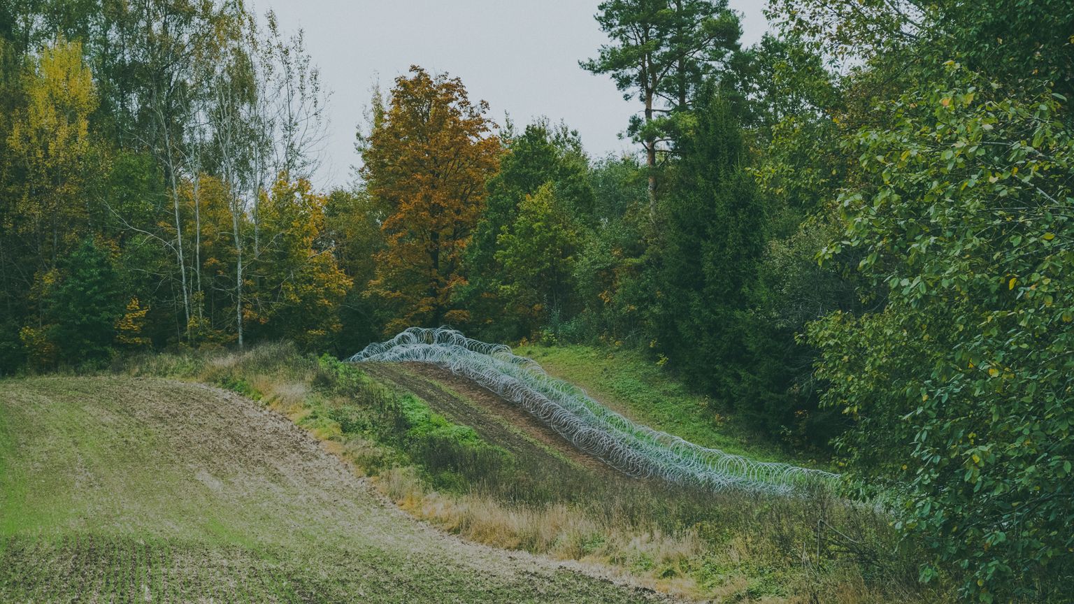 Slovēnijas dāvinātais dzeloņstiepļu žogs uz Latvijas-Baltkrievijas robežas