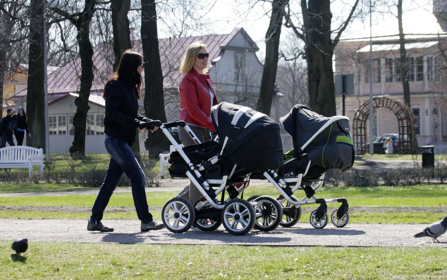 Eestis on viimastel kuudel registreeritud alla tuhande sünni ühes kuus.