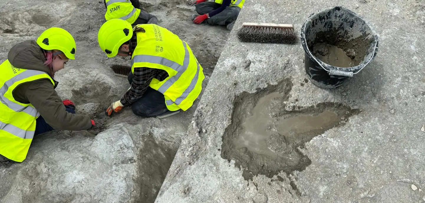 Teadlased leidsid Oxfordshire'i maakonnas karjäärist umbes 200 dinosauruse hästisäilinud jalajälge.