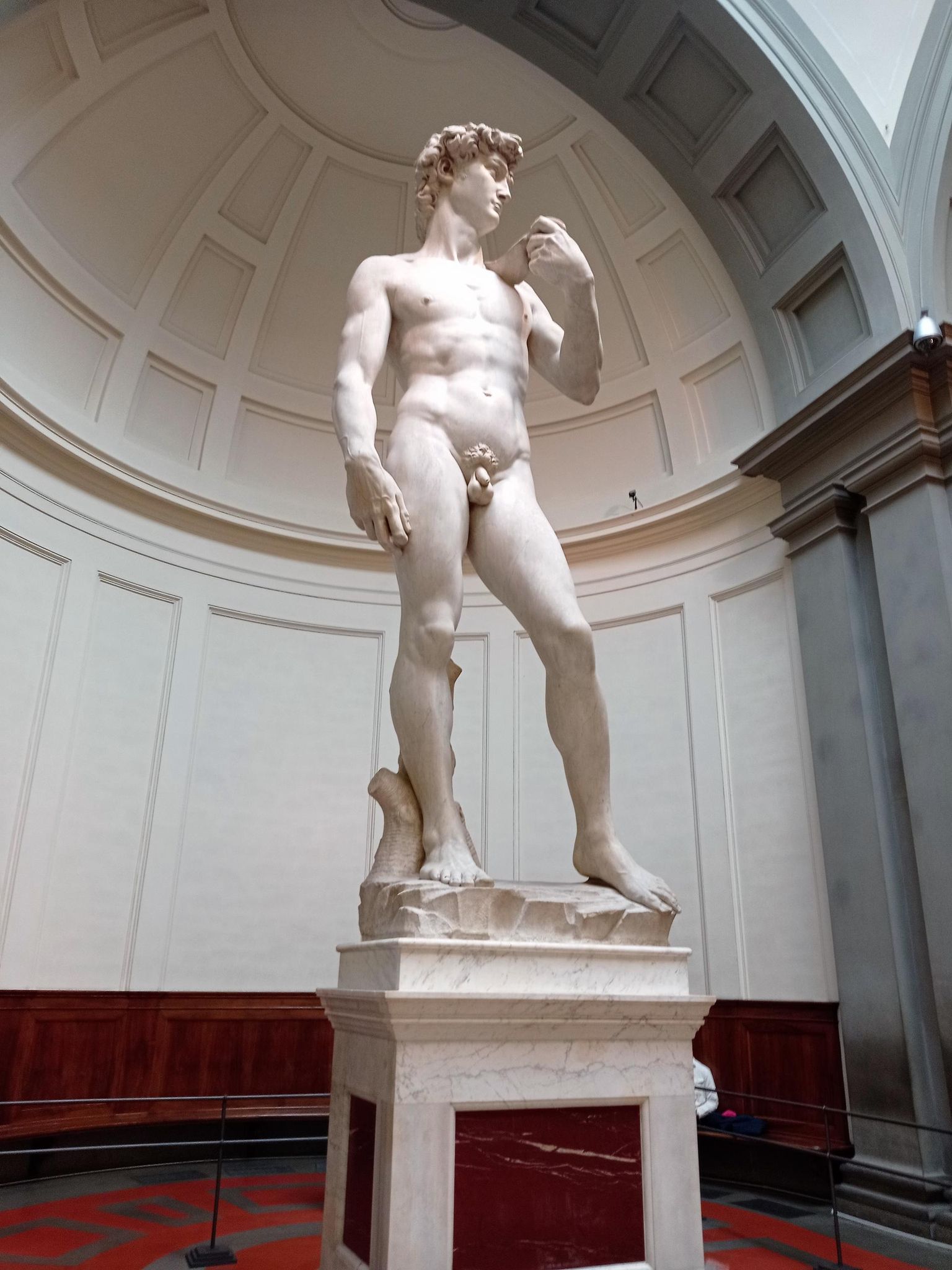 Michelangelo «Taavet» Accademia di Belle Arti galeriis.