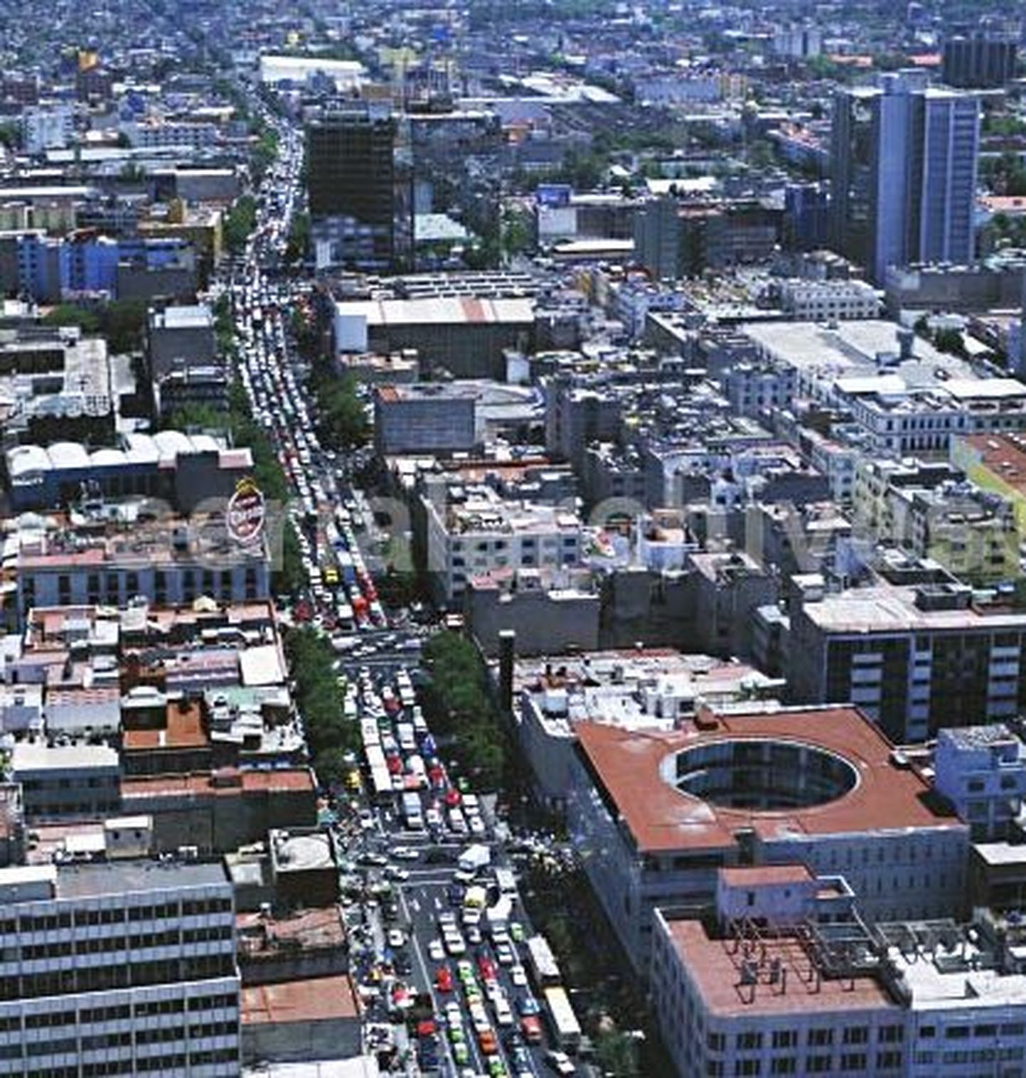 Tõukeid tunda ka pealinnas Mexico Citys.