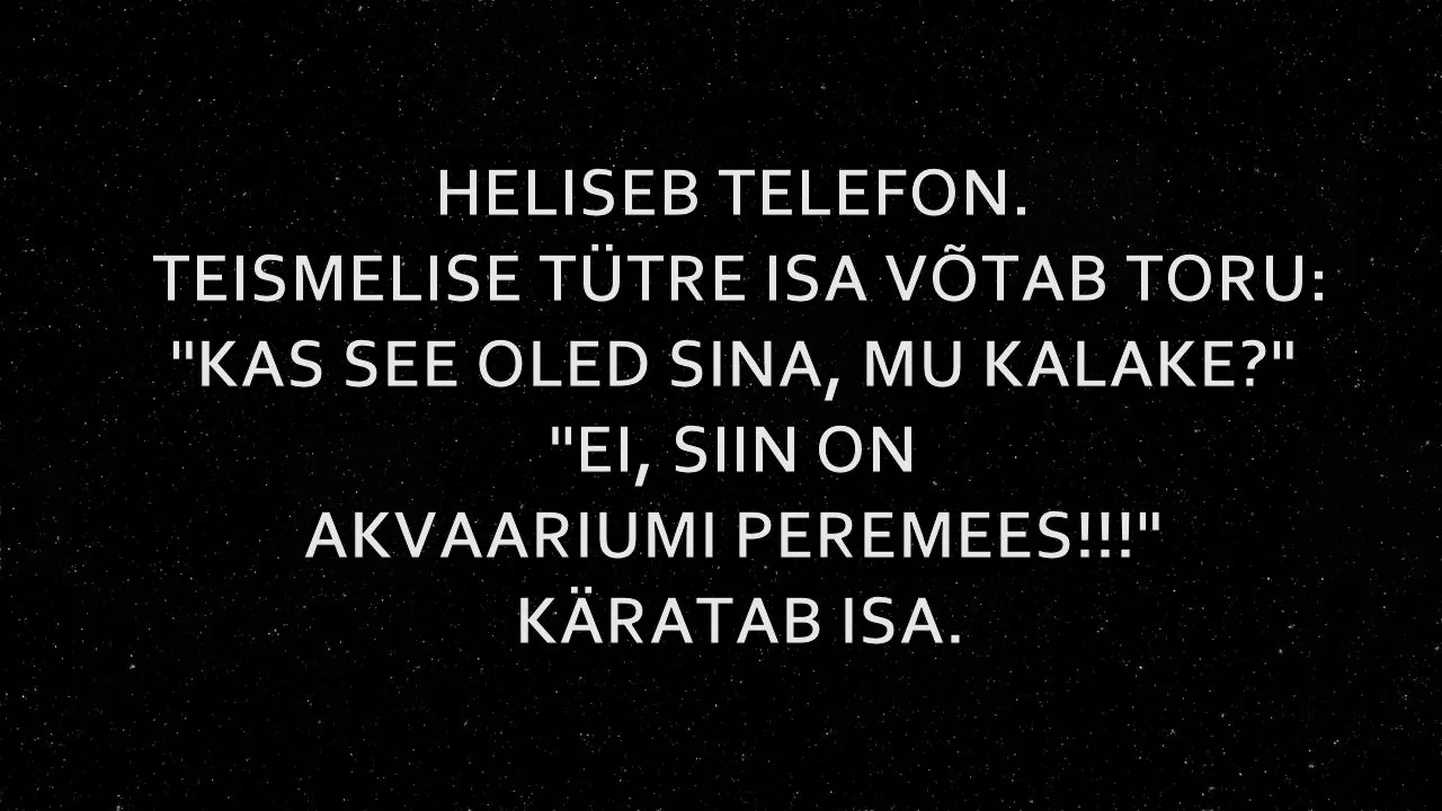 Artikli foto