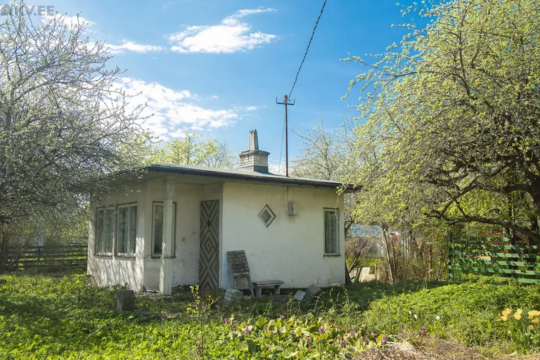 Фото статьи