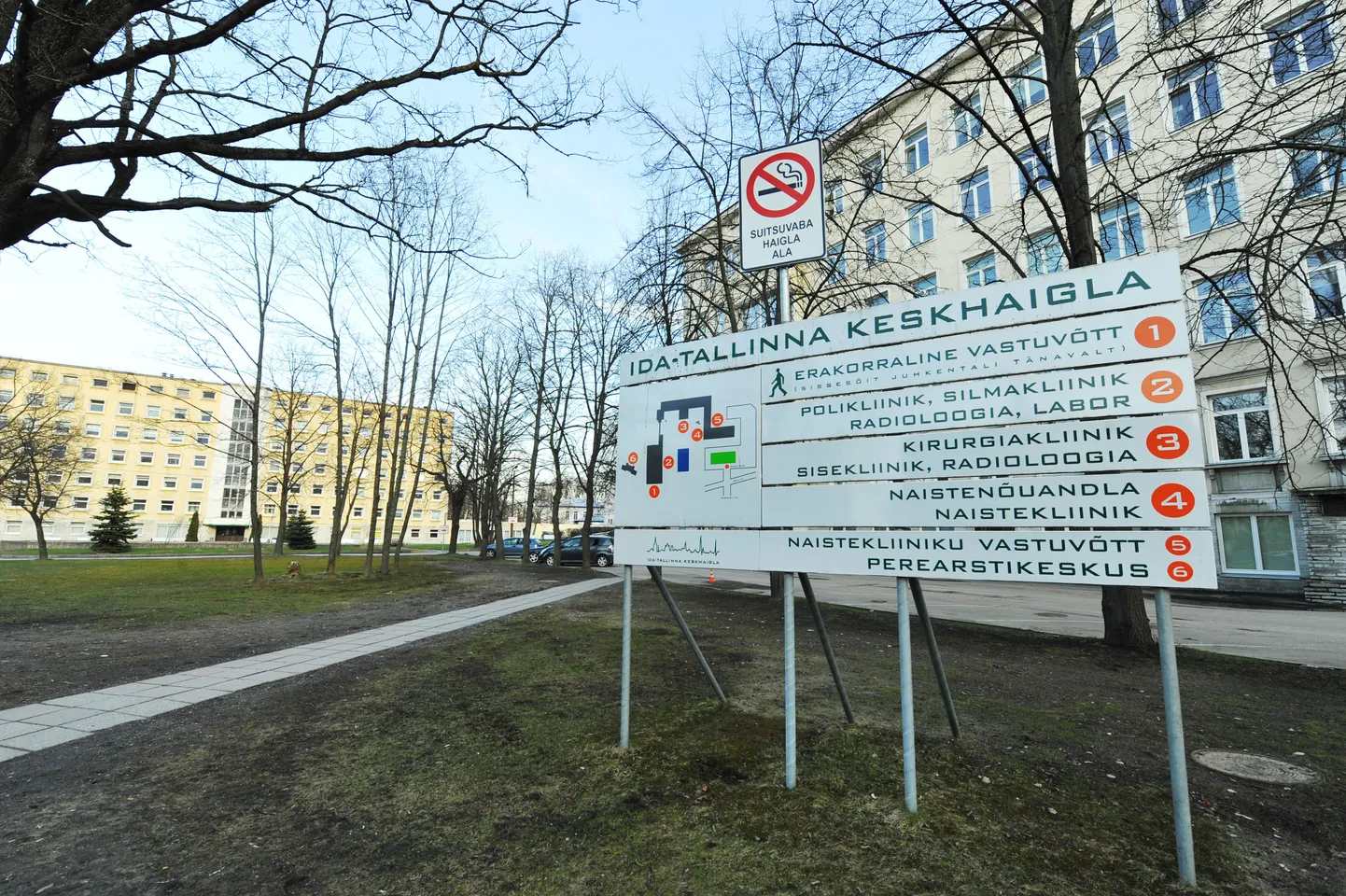 Kevadine vaikelu Ida-Tallinna Keskhaiglas