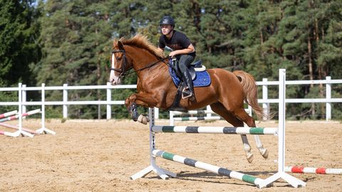 Eesti takistussõidumeister Aimar Annimäe unistab saada loomaarstiks