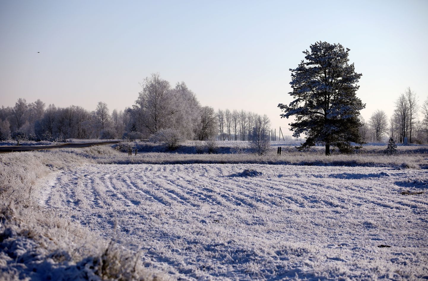 Lauku ainava ziemā