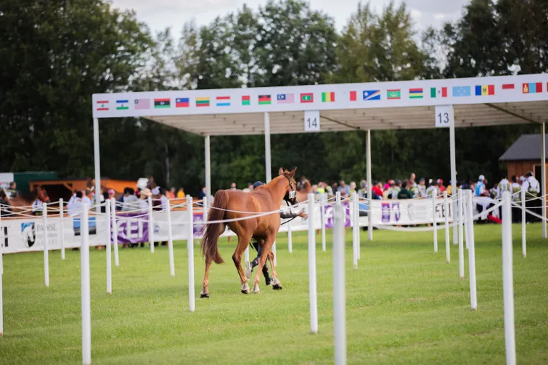 Veterinaarse kontrolli ala Padisel