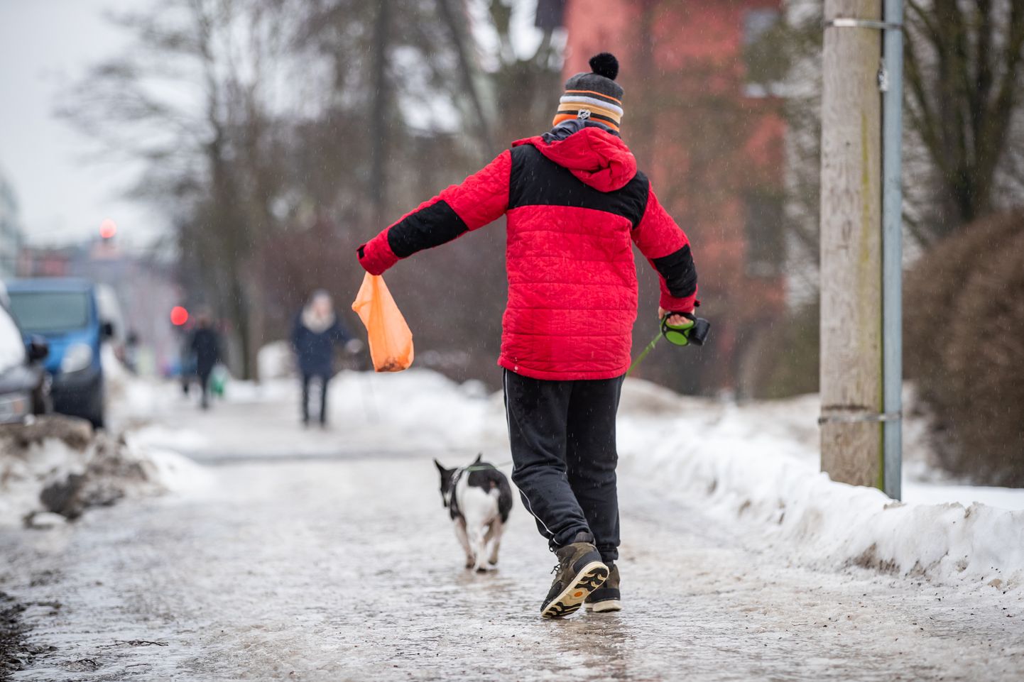 Гололед после ледяного дождя в Таллинне, 2020 год.