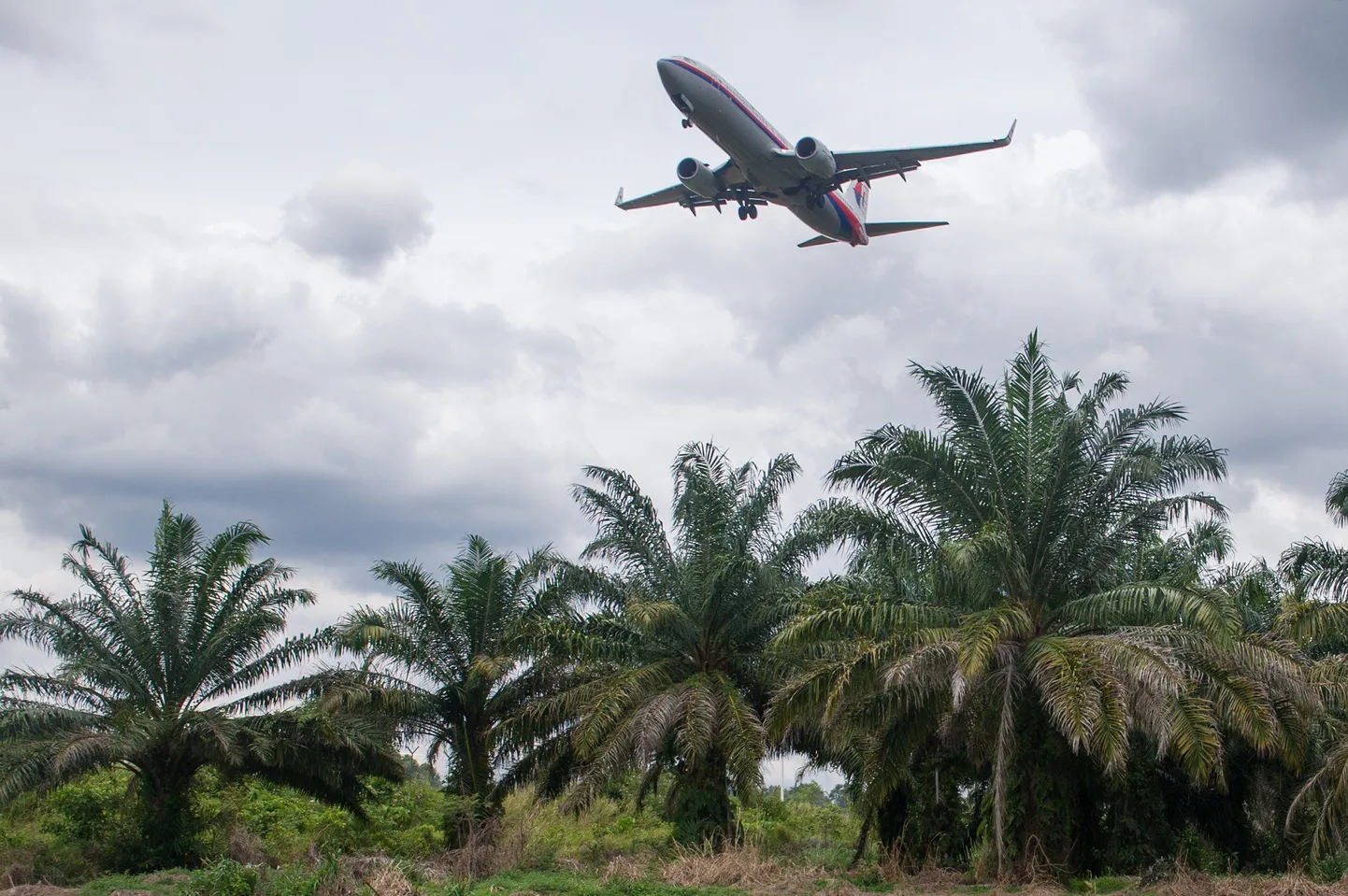 Malaysia Airlinesi lennuk