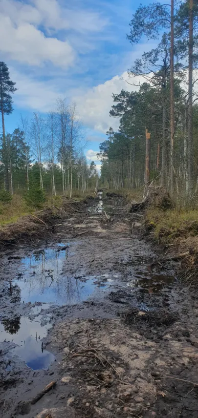 Avastatud pinnasekahjustus on küllaltki mastaapne.