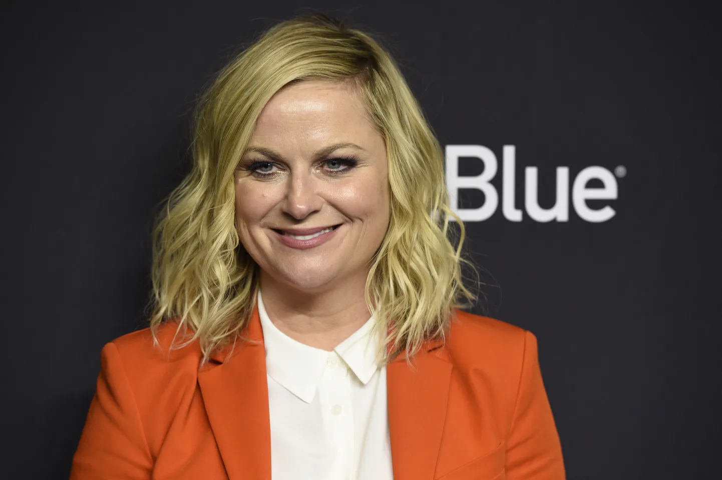 Pildil on näitleja Amy Poehler 21. märtsi, aastal 2019, mil ta saabus sarja «Parks and Recreation» kümnenda aastapäeva üritusele.