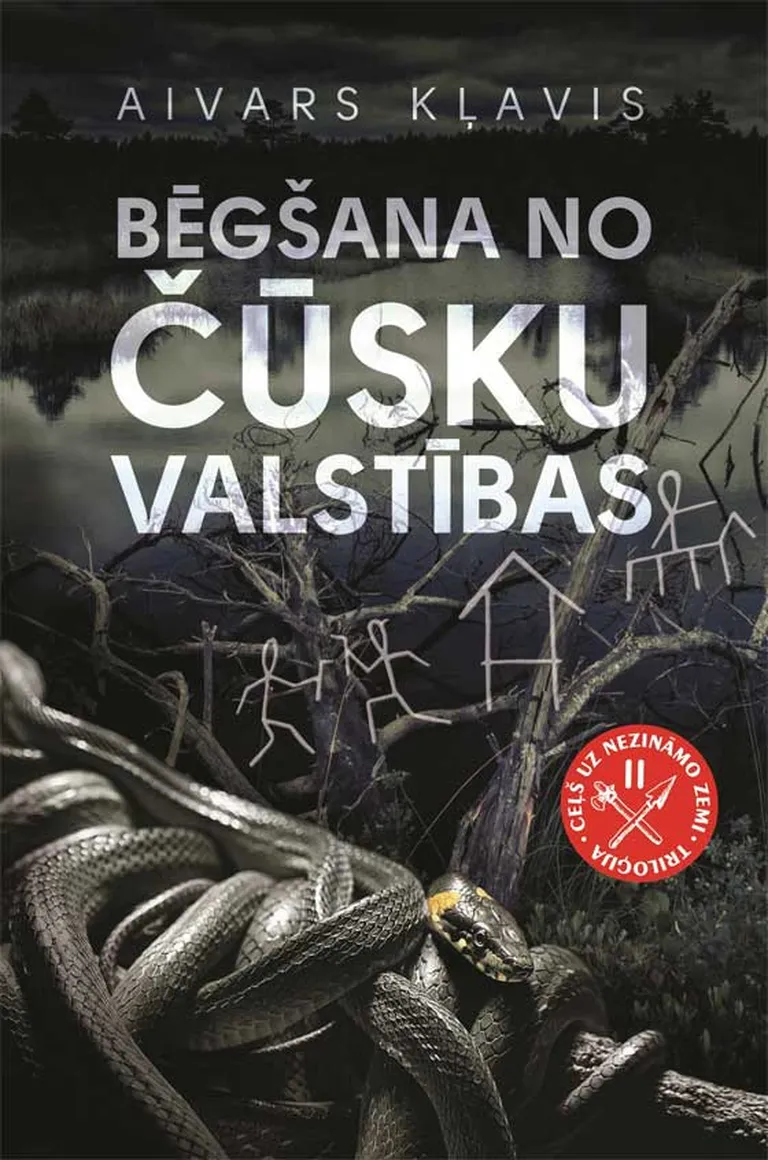 Raksta foto