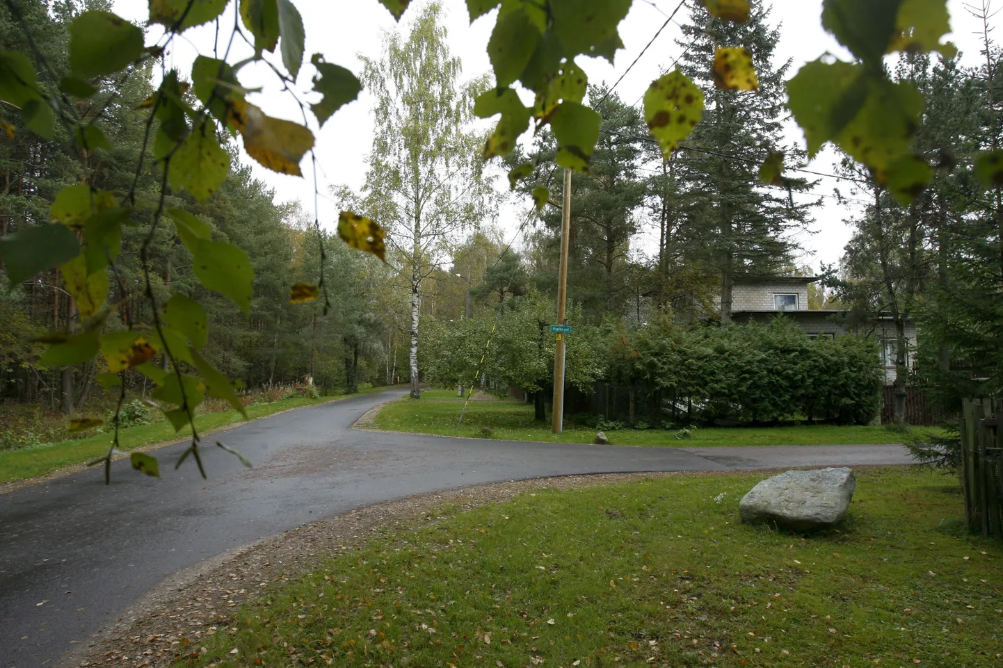 Veskimöldre.