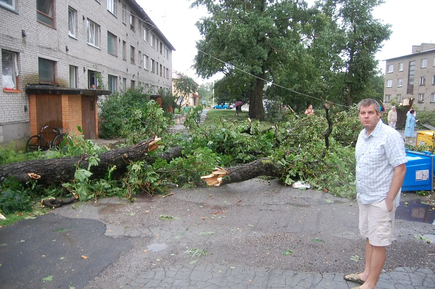 Последствия бури в поселке Таммику в Ида-Вируском уезде. 15 августа 2010 года.