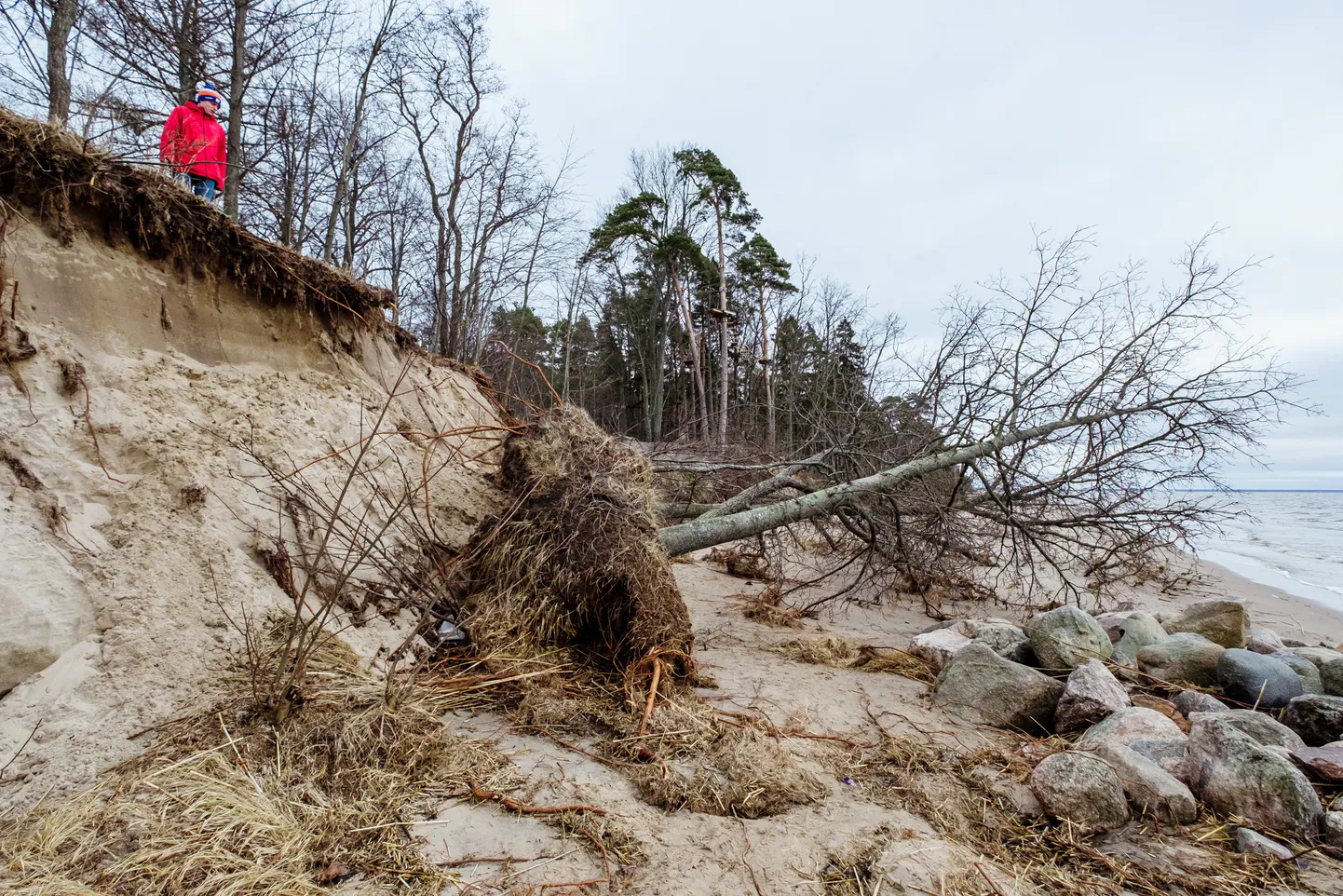 Tormist ära pühitud Valgerand.